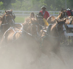 Chuckwagon Racing at Northwest Territorial Days