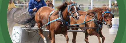 Battlefords Agricultural Society