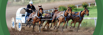 Battlefords Agricultural Society