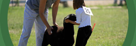 Battlefords Agricultural Society